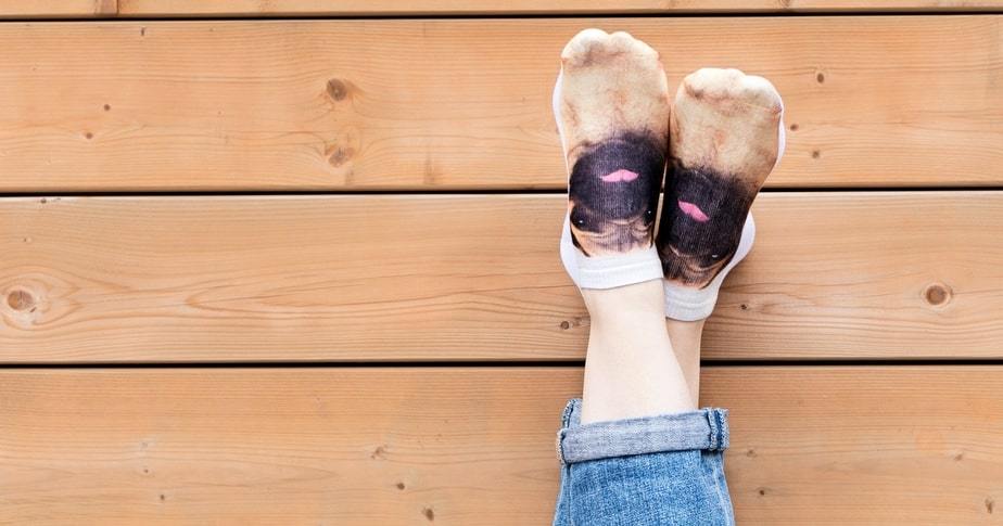 niche market and product example of pet parent wearing their dog on their socks