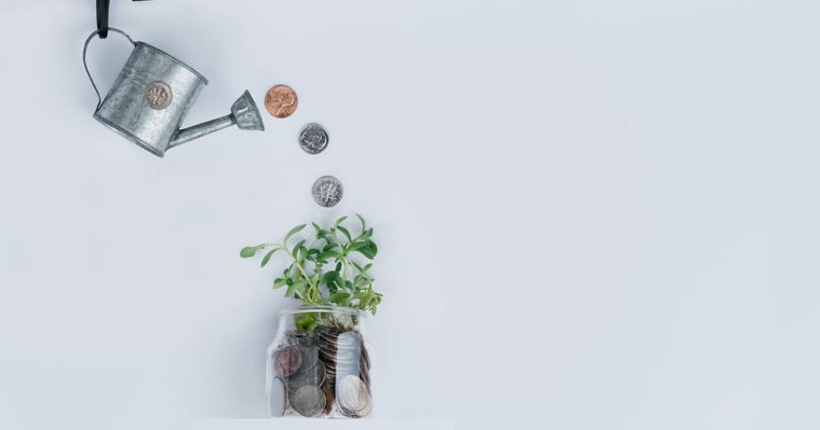 social entrepreneurship